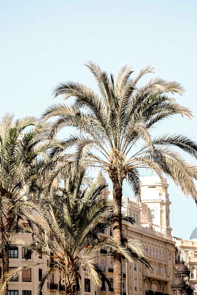 best area to stay in valencia for tourists