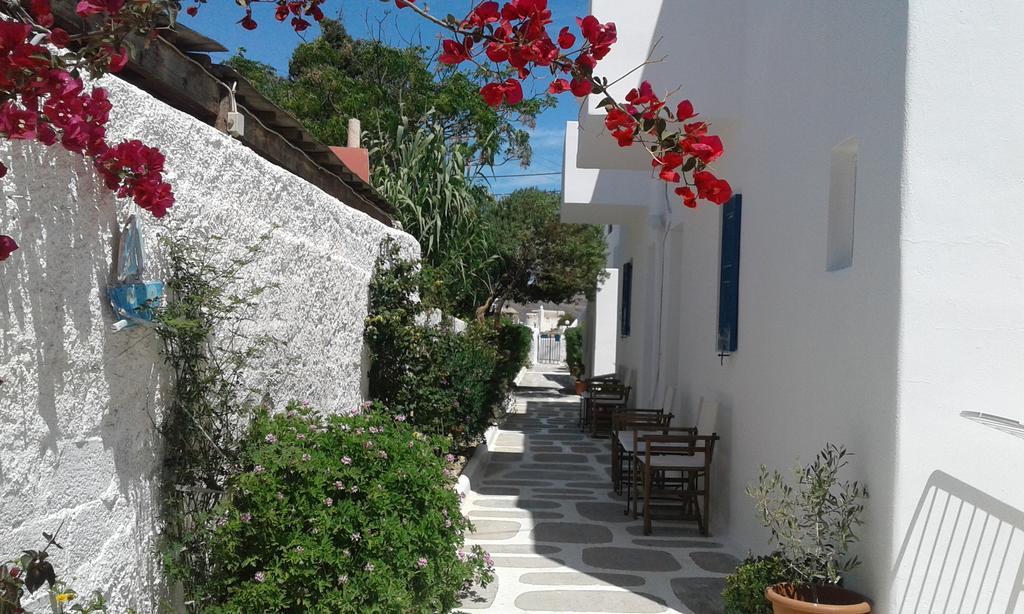angelas room is one of the best budget hotels in mykonos