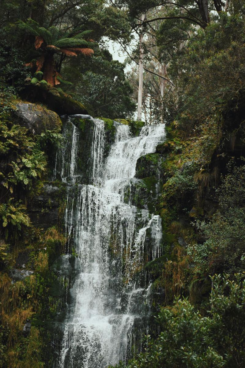 erskine falls is one of the most famous landmarks of victoria australia