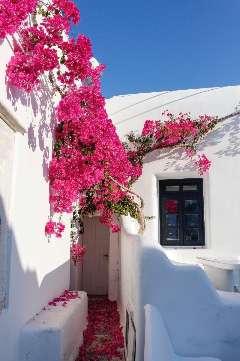 mykonos best area to stay for families