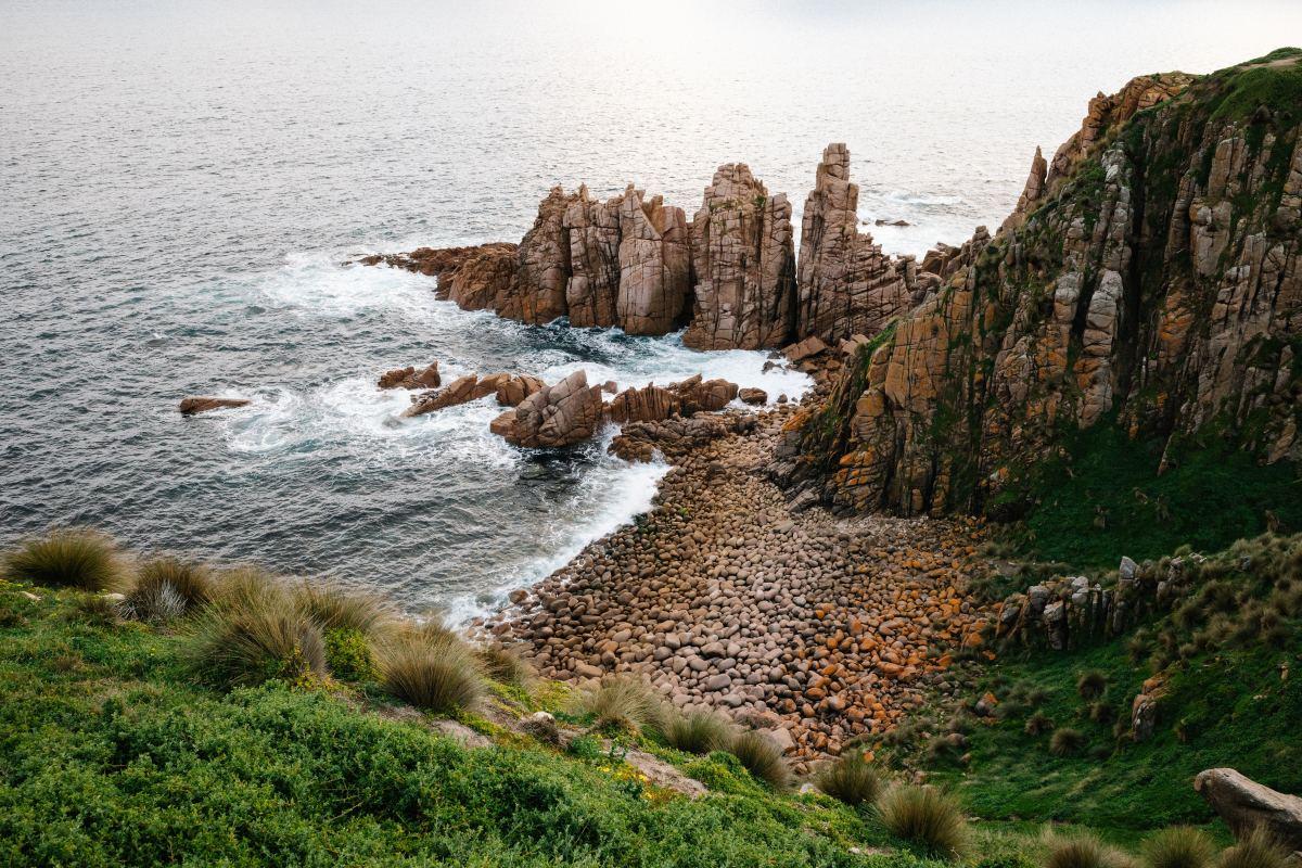 phillip island in victoria