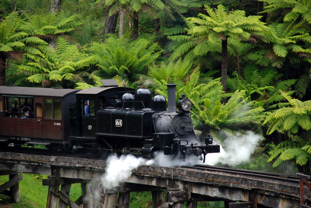 puffing billy railway in dandenong ranges