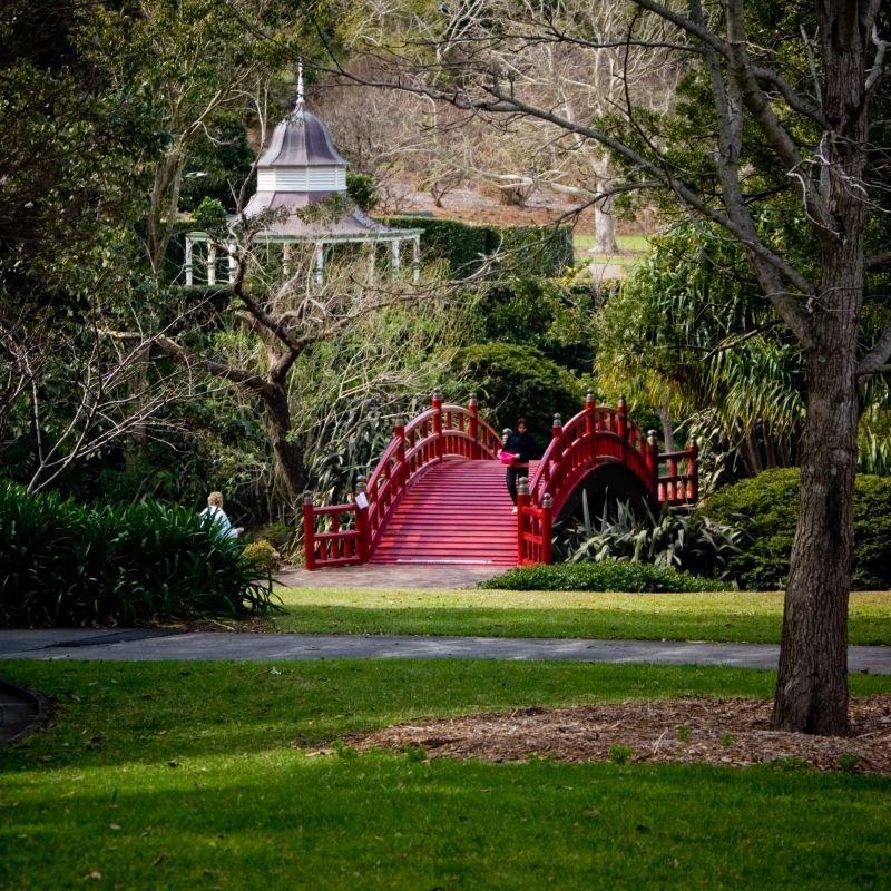 wollongong botanic garden