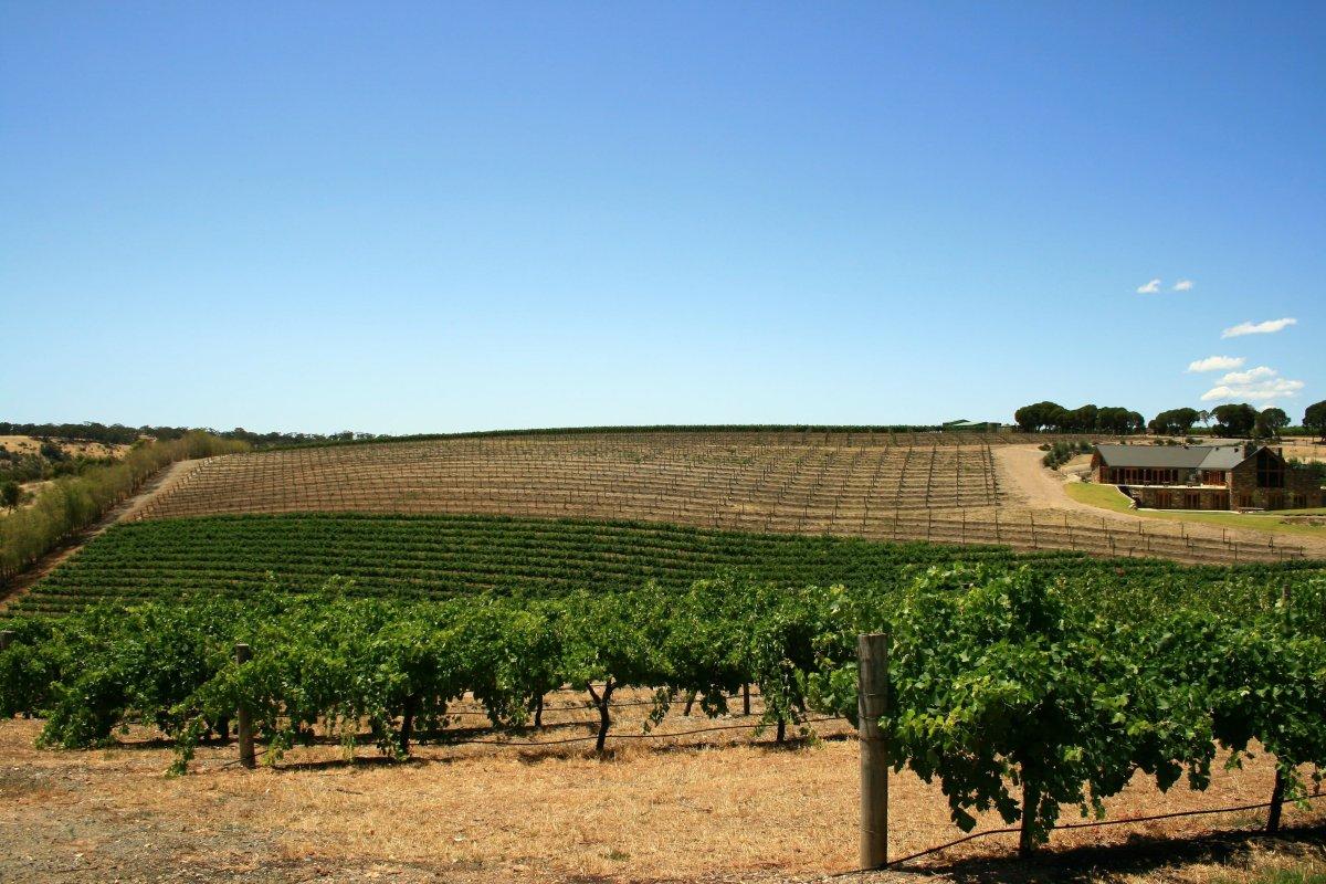 barossa valley