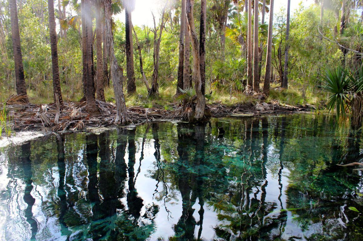 bitter springs is in the great landmarks in northern territory australia