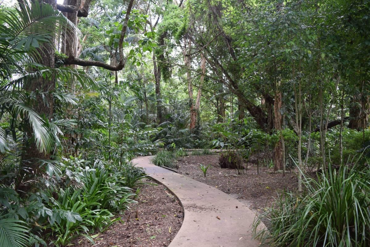 cairns botanic garden is in the best cairns tourist attractions