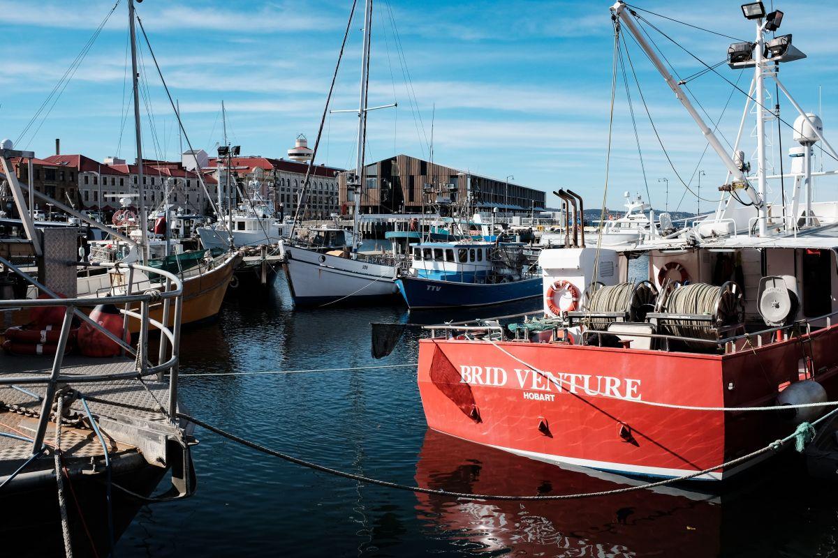 hobart port