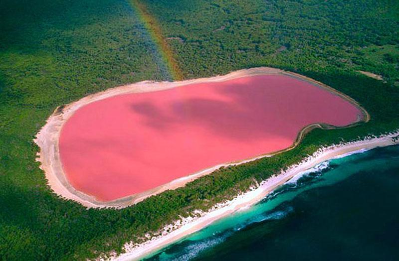 lake hillier is a famous australia landmarks