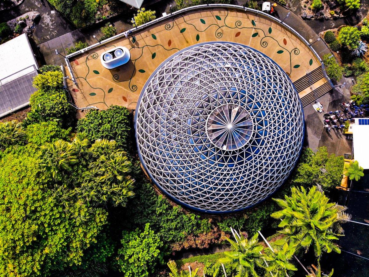 mount coot tha botanic gardens in brisbane