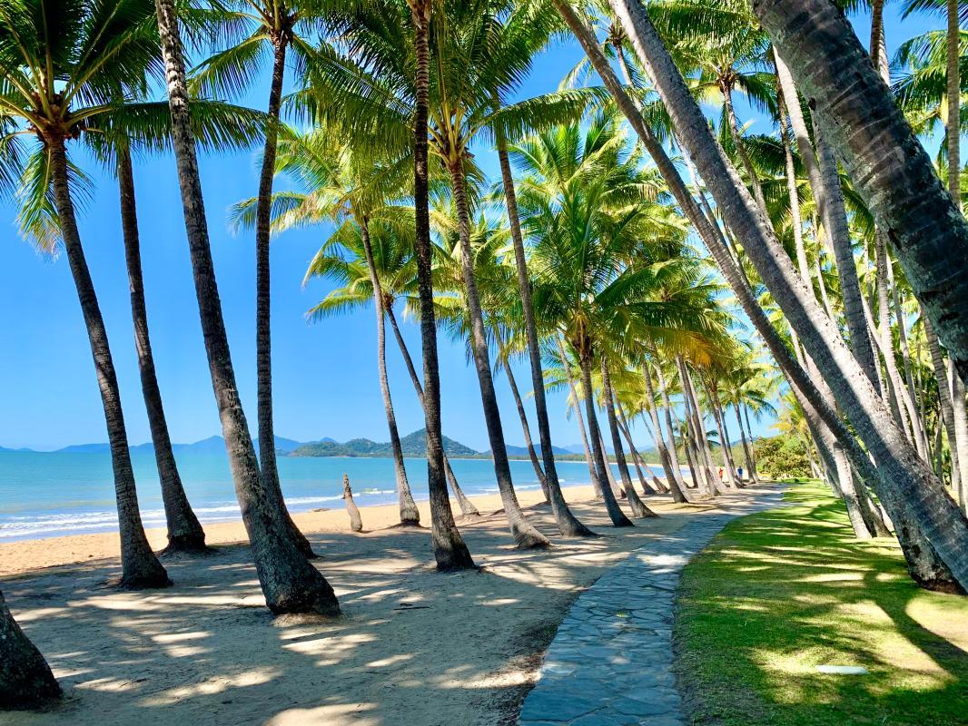 palm cove is in the best cairns places to visit
