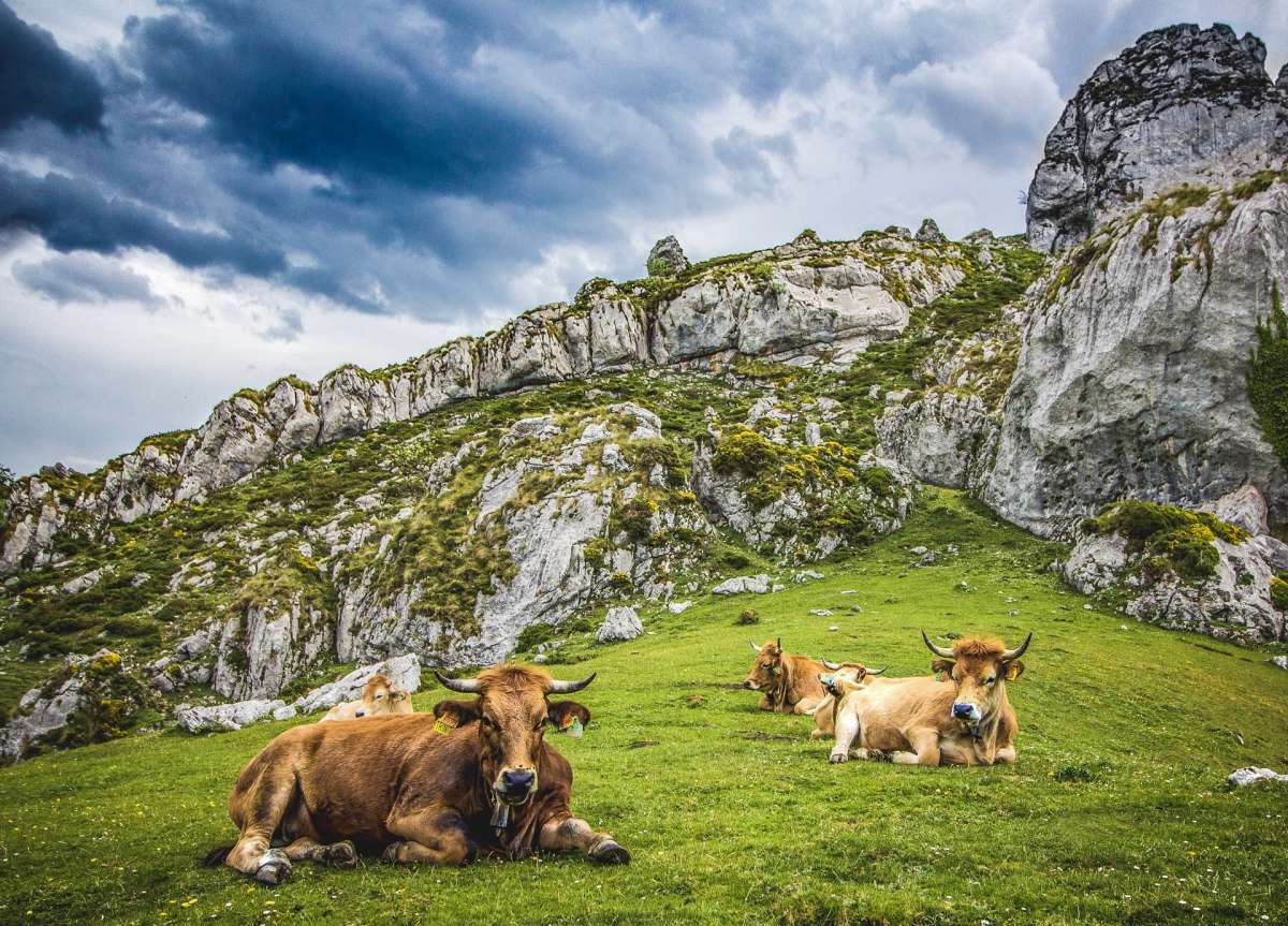 picos de europa where to stay