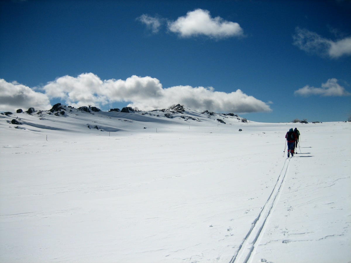 snowy mountains in kosciuszko national park