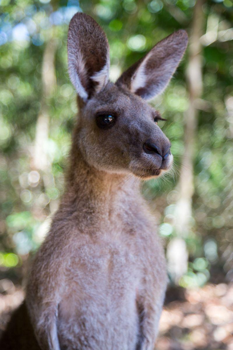 territory wildlife park