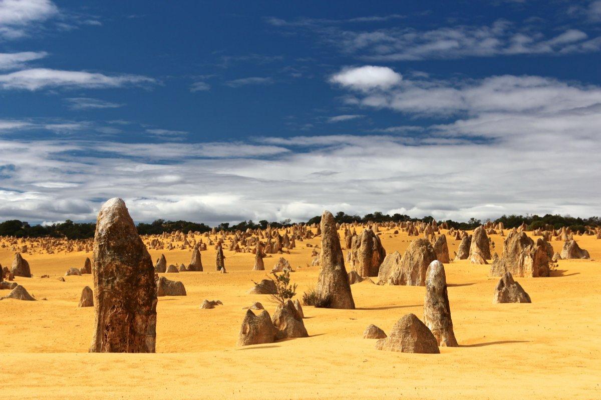 the pinnacles desert is in the western australia famous landmarks