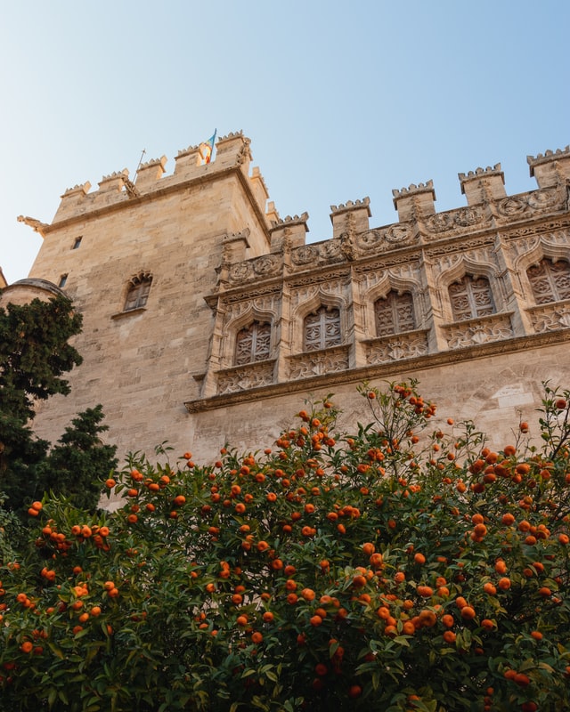 valencia beautiful old town