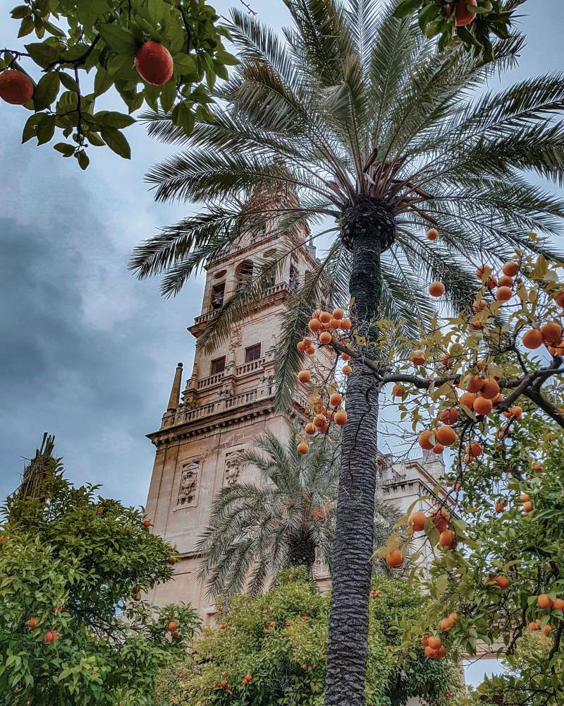 cordoba church