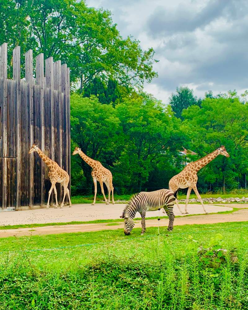 parc de la tete dor is a must see when spending 3 days in lyon