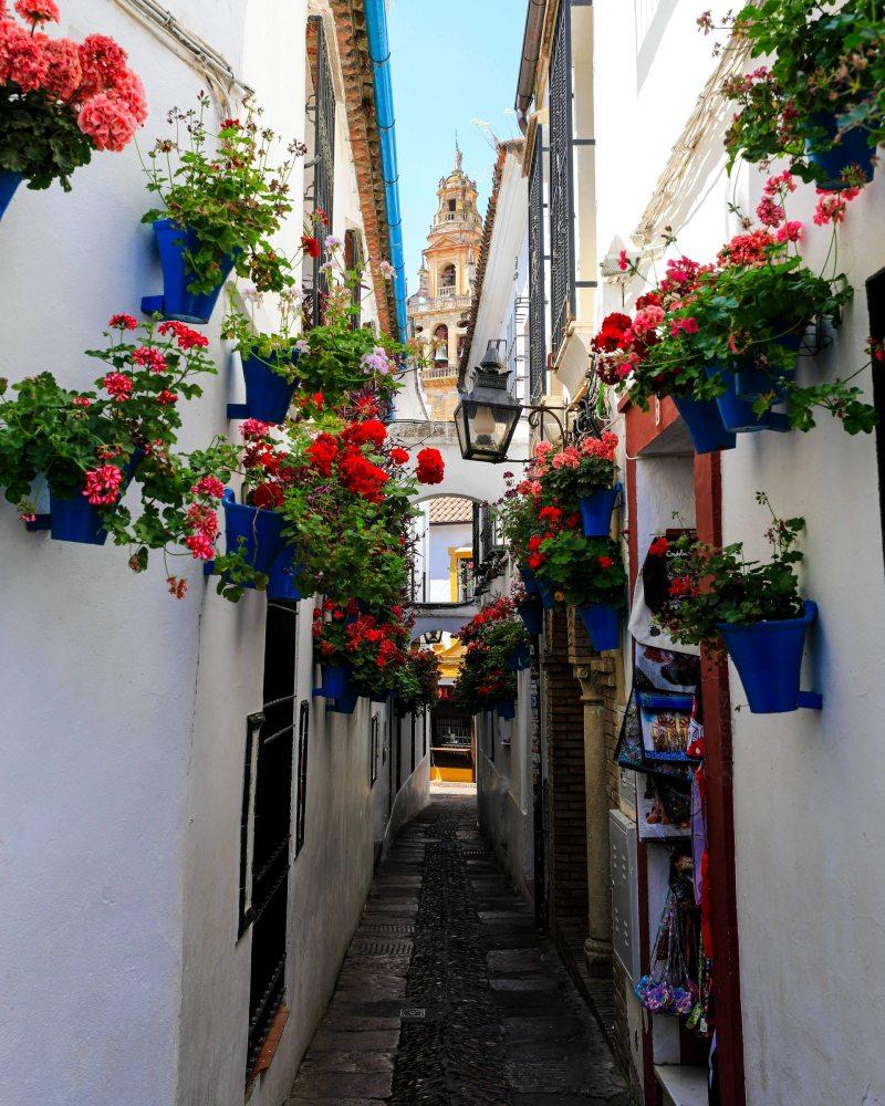 street of flowers in cordoba