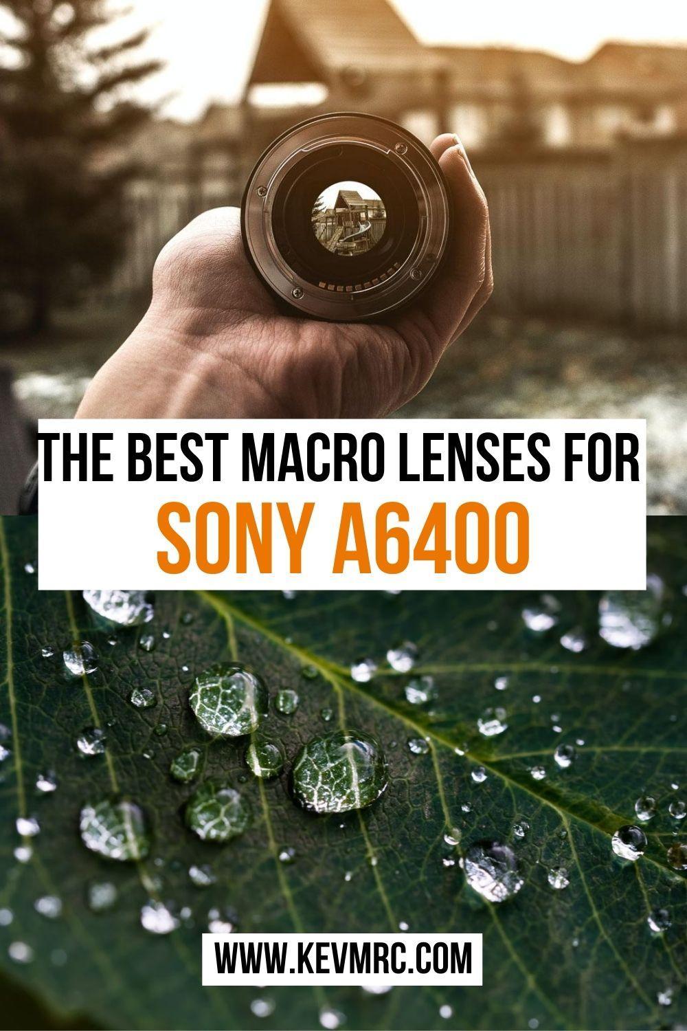 Find the best macro lens for Sony A6400. photography gear | photography guide | camera guide | camera lens 