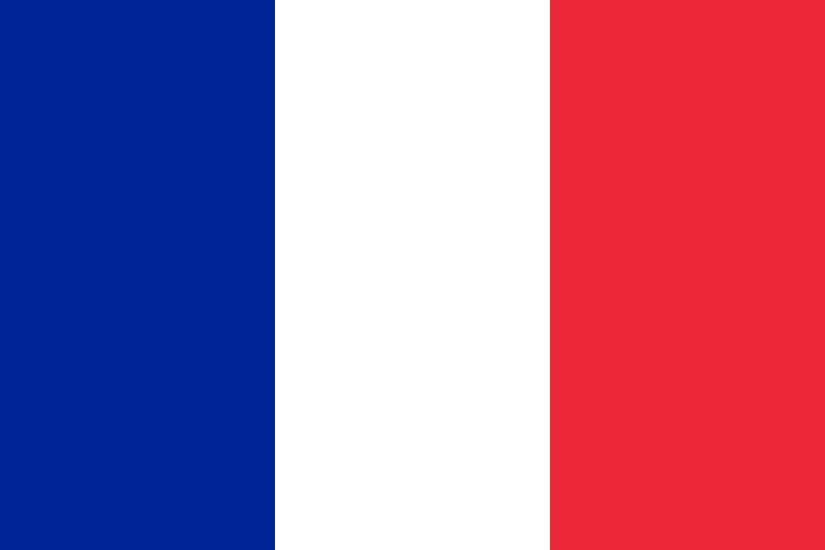 cool facts about france flag