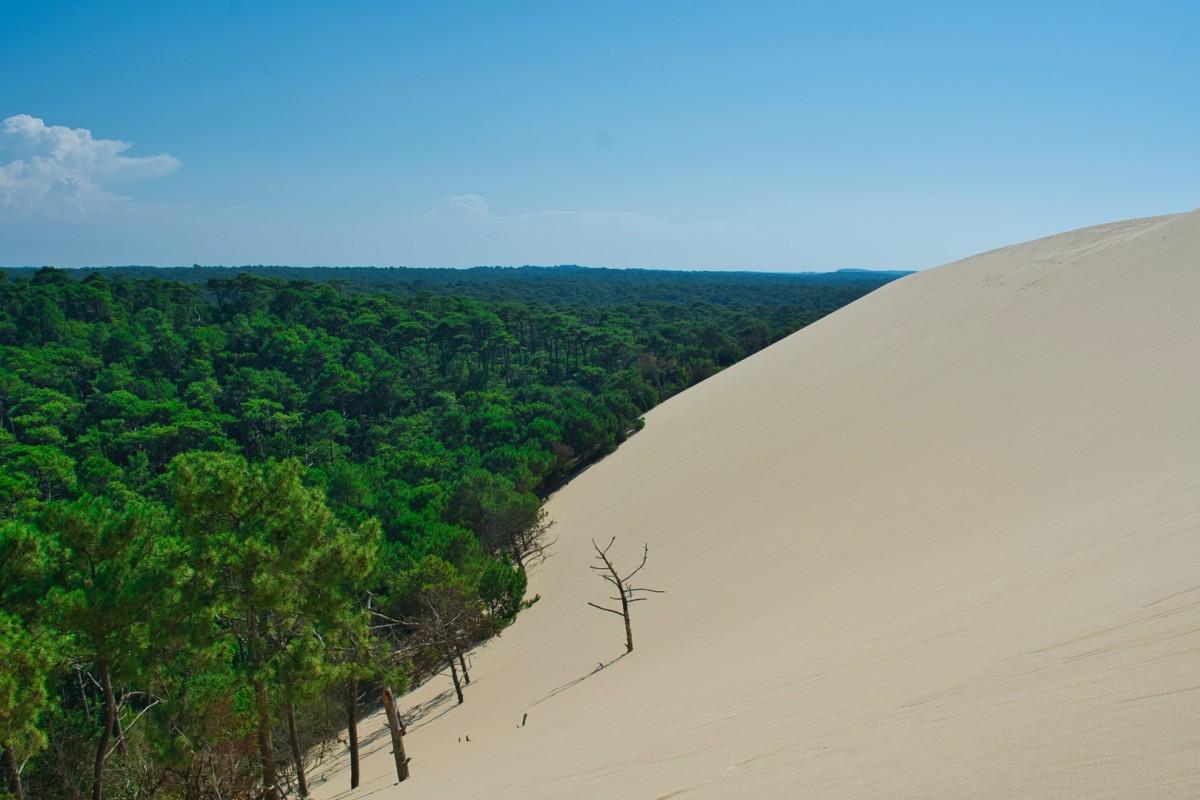 dune du pilat is a famous france landmark