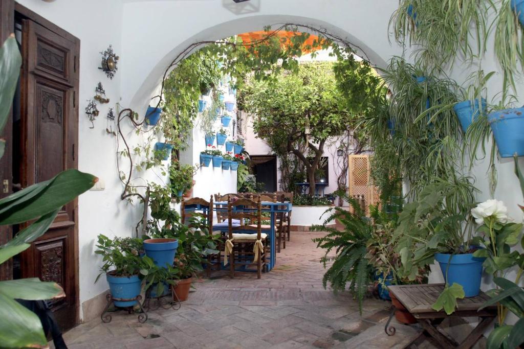 el patio de maria is one of the cheap hostels in cordoba spain