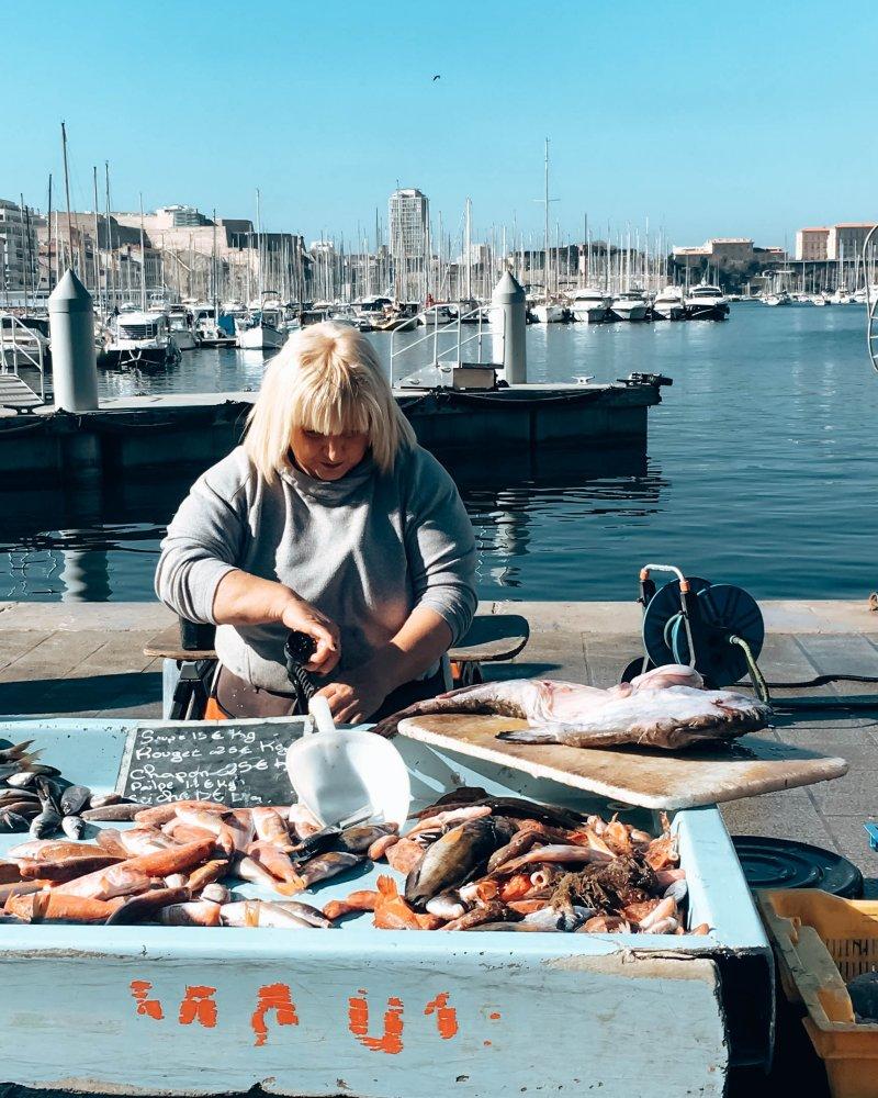 marseille history facts about sardine