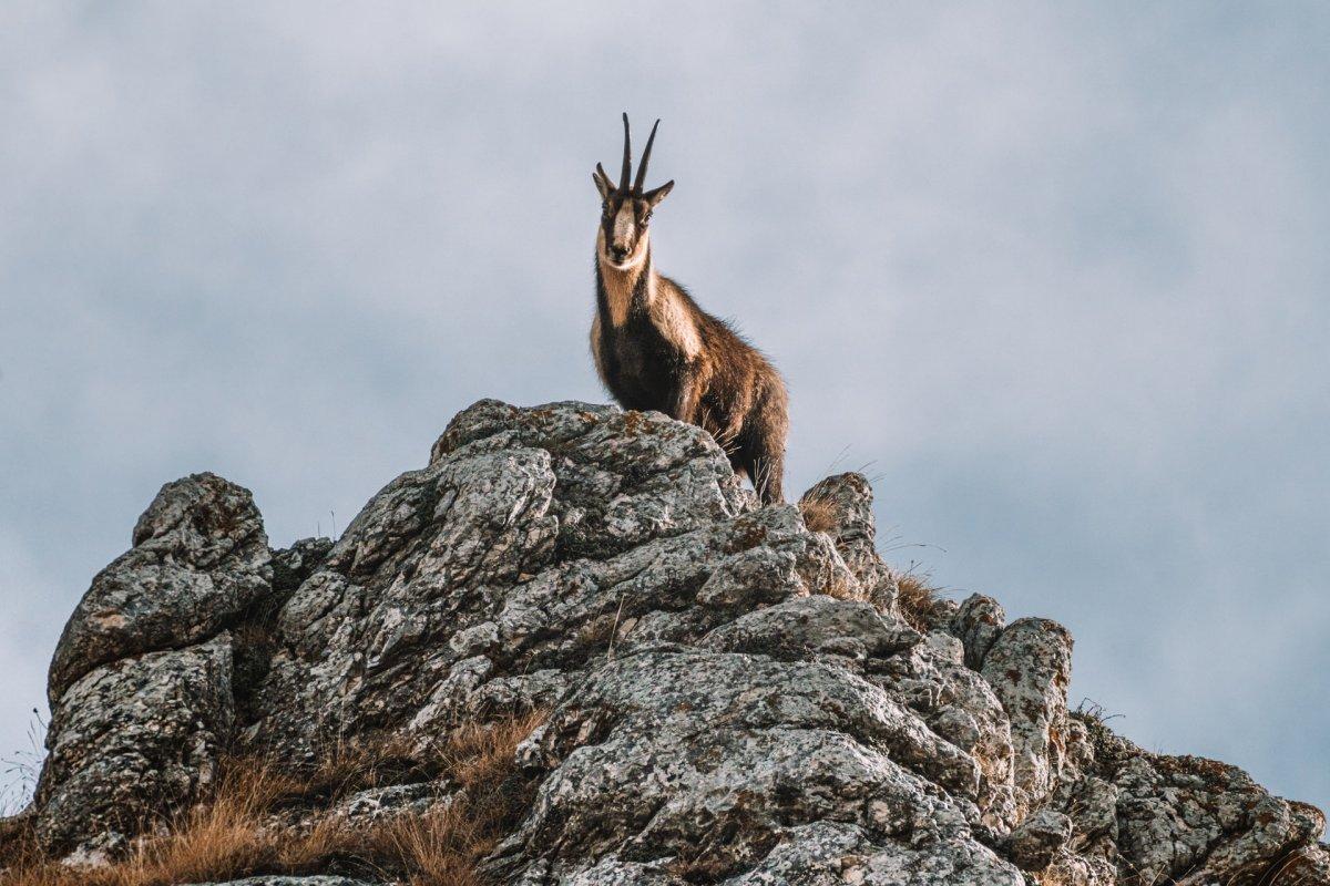 national park of abruzzo