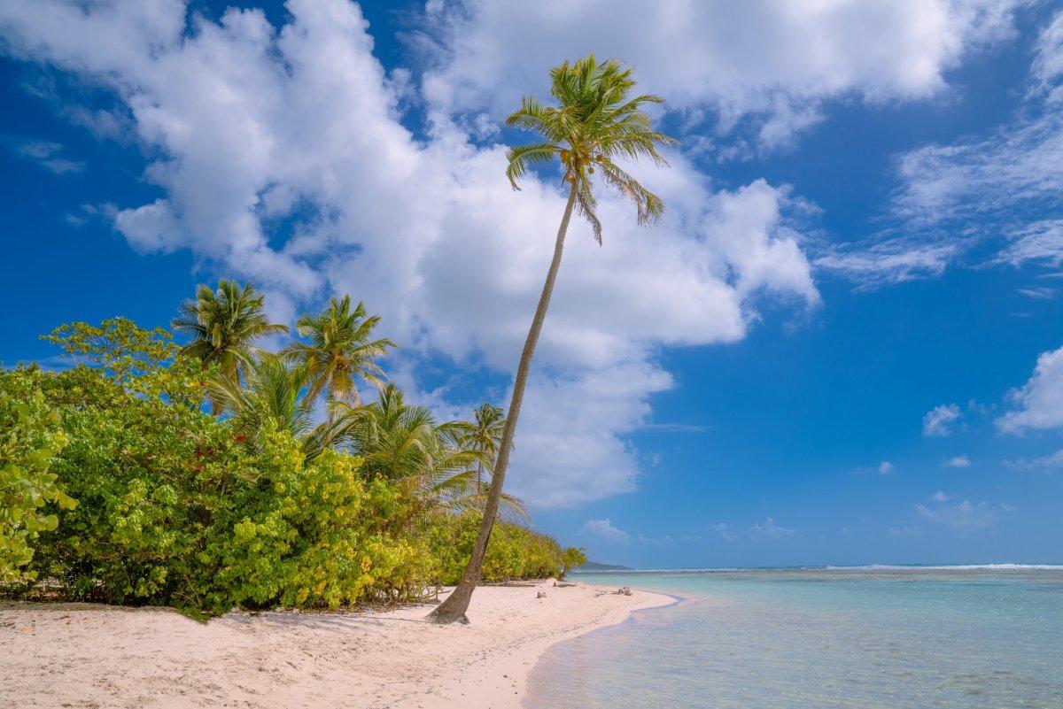 12 - la guadeloupe facts