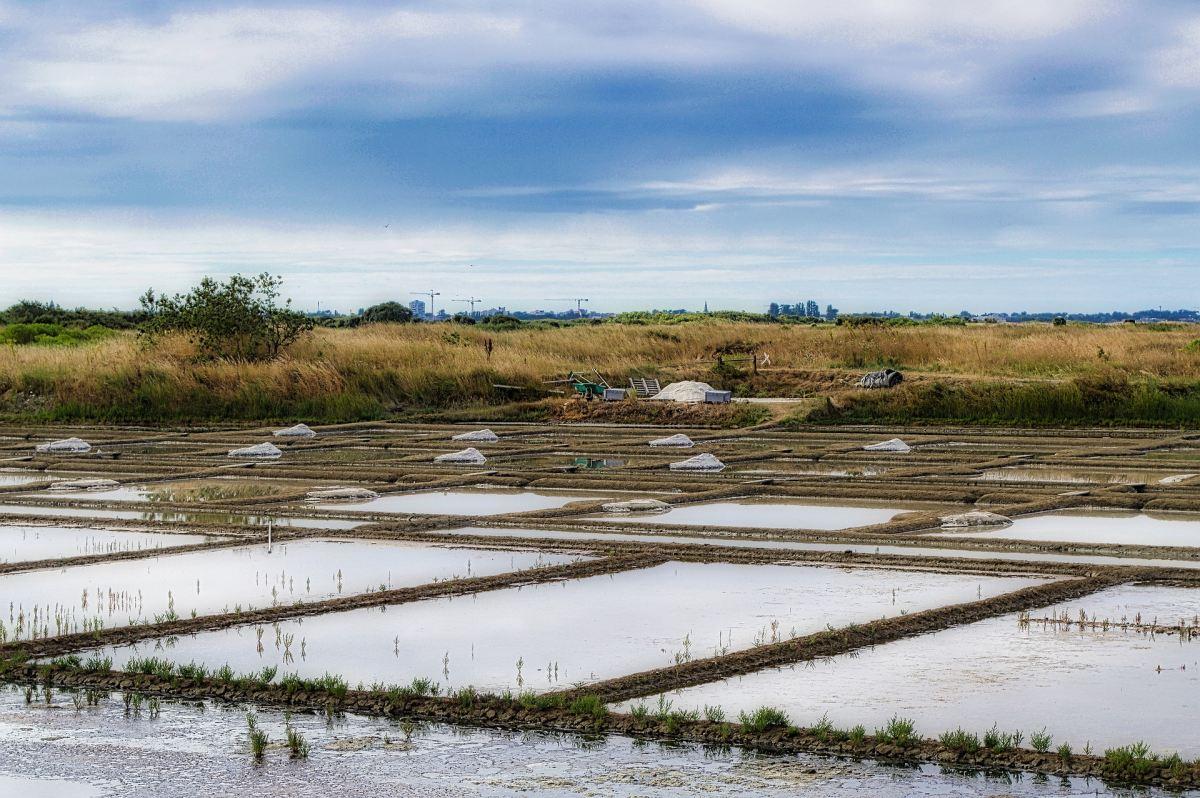 14 - bretagne france facts about salt fields