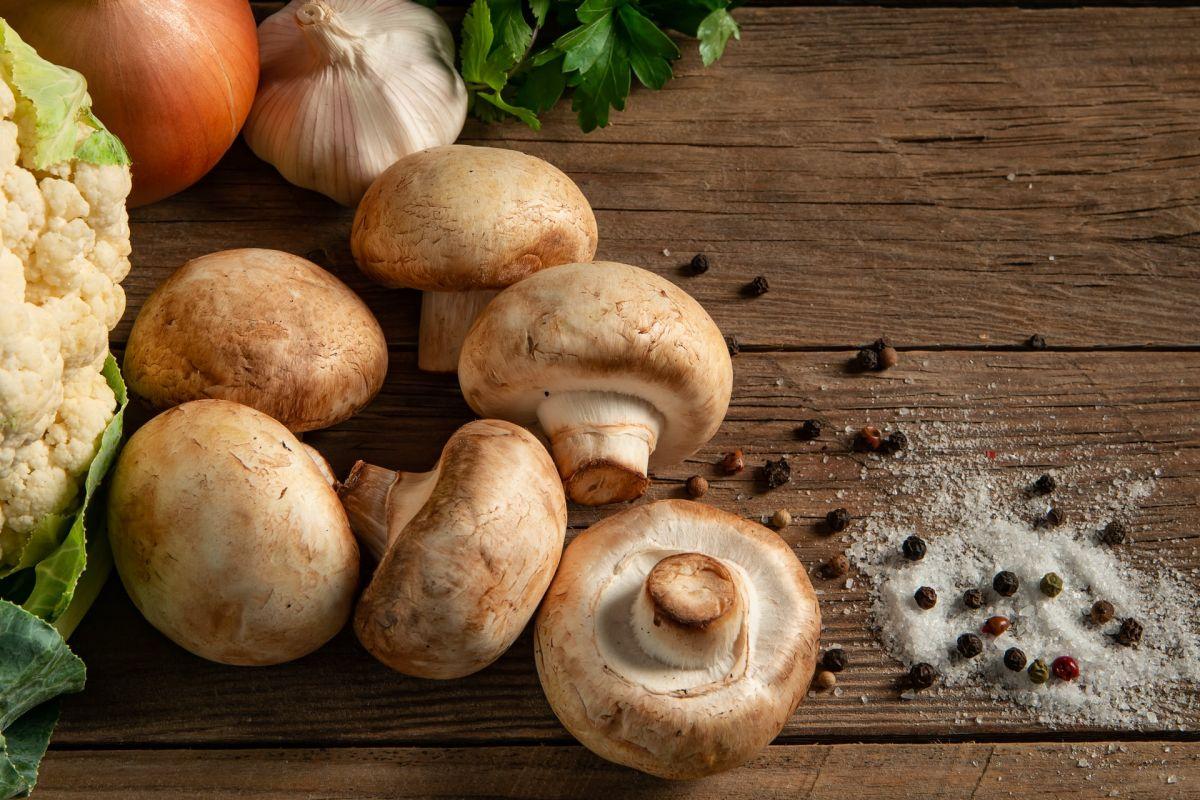 15 - french food fun facts about mushrooms