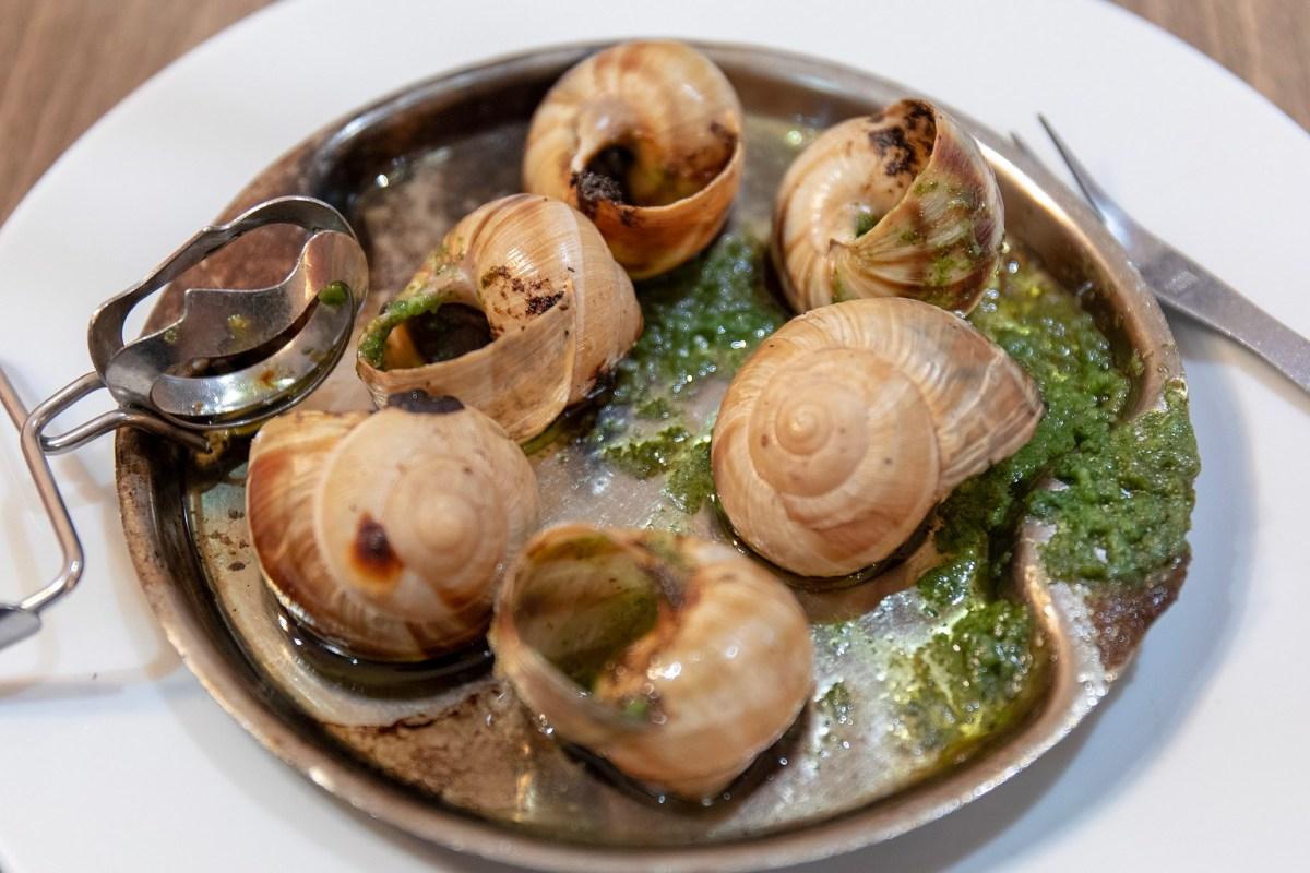 snails dish
