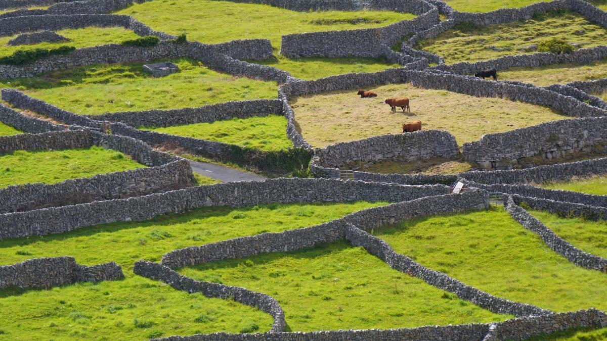 aran islands is a famous landmark of ireland