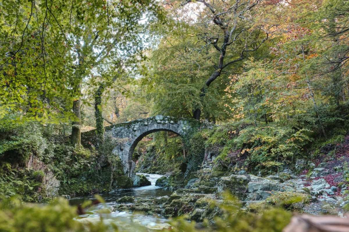 tollymore forest park