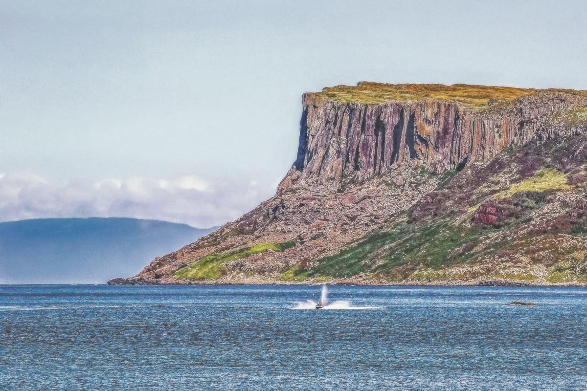 torr head scenic road