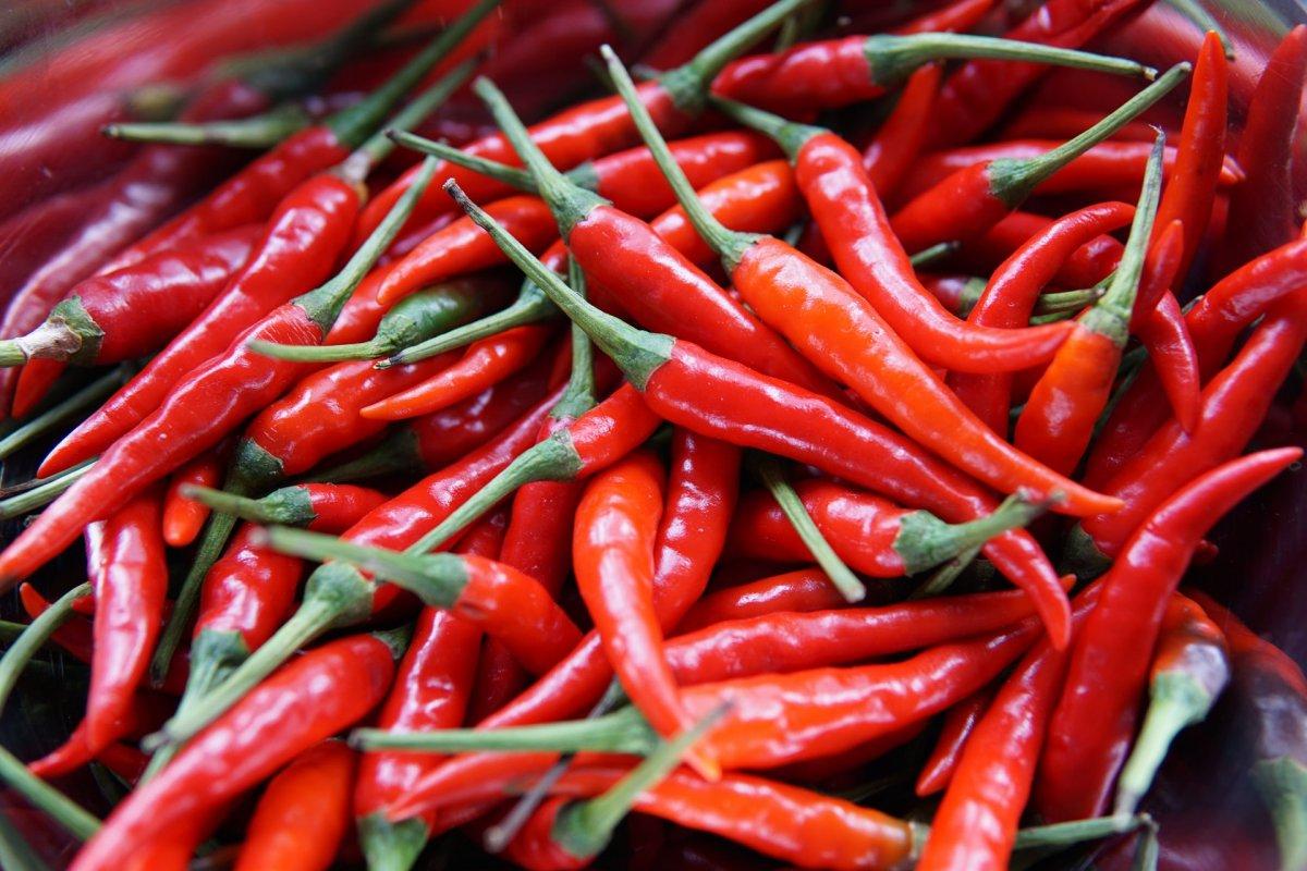 15 - french guiana fun facts about cayenne pepper