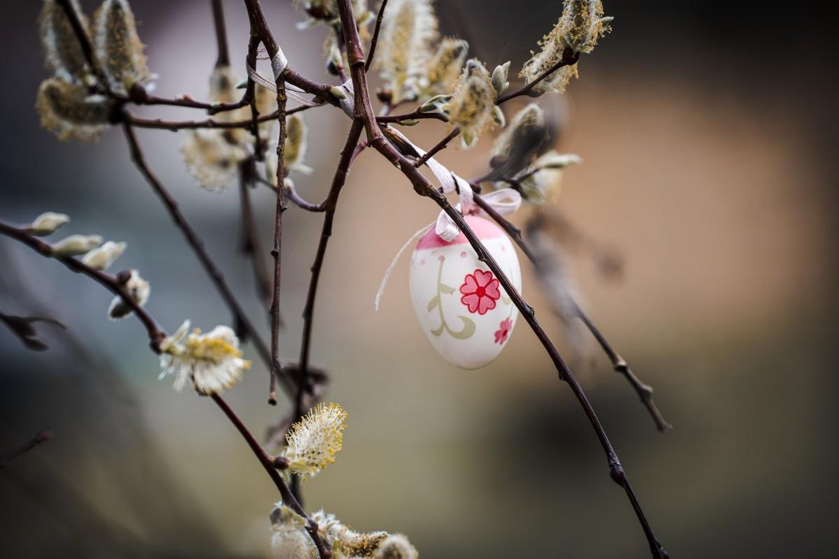 25 Interesting Facts About Easter in France