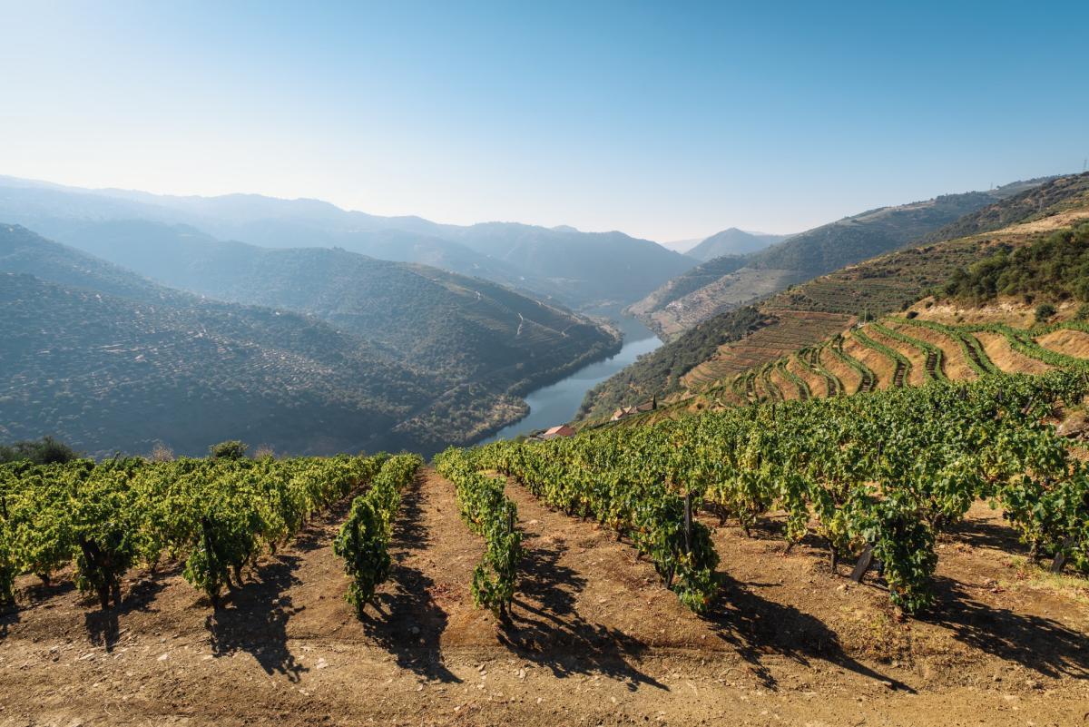 25 - interesting facts portugal douro valley