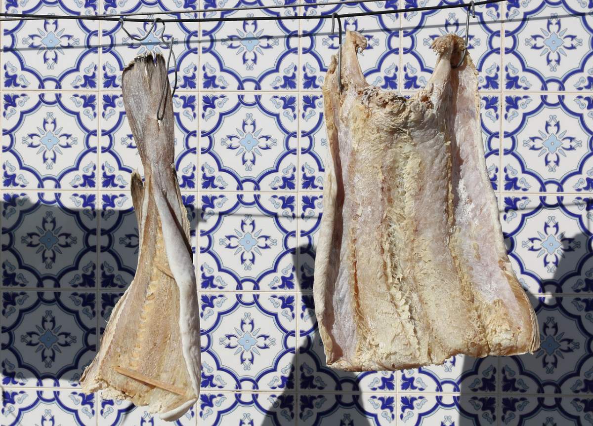 5 - fun facts facts on portugal codfish