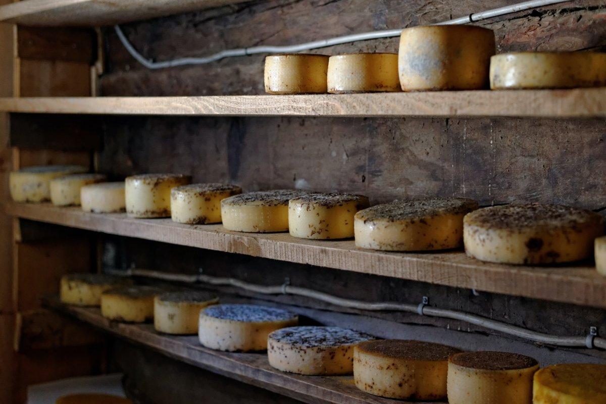 8 - french cheese facts