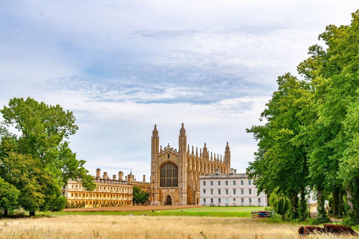 cambridge university