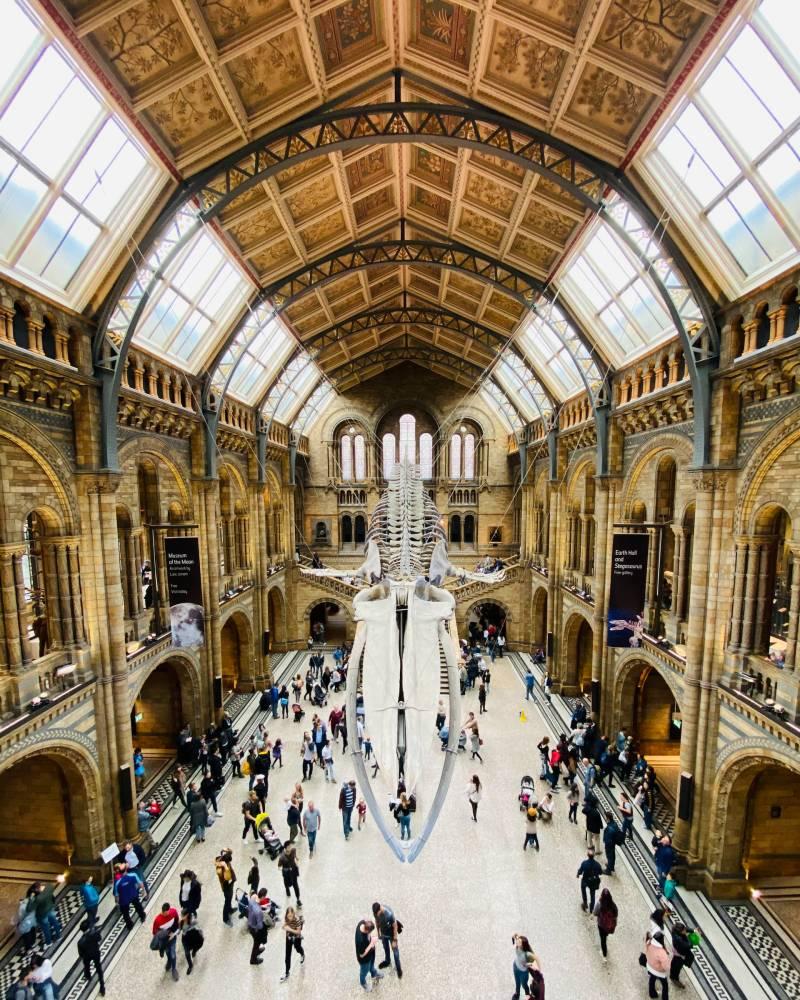 natural history museum is one of the famous monuments in london