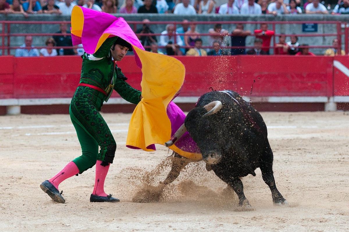 bullfighting is one of the traditional spanish sports