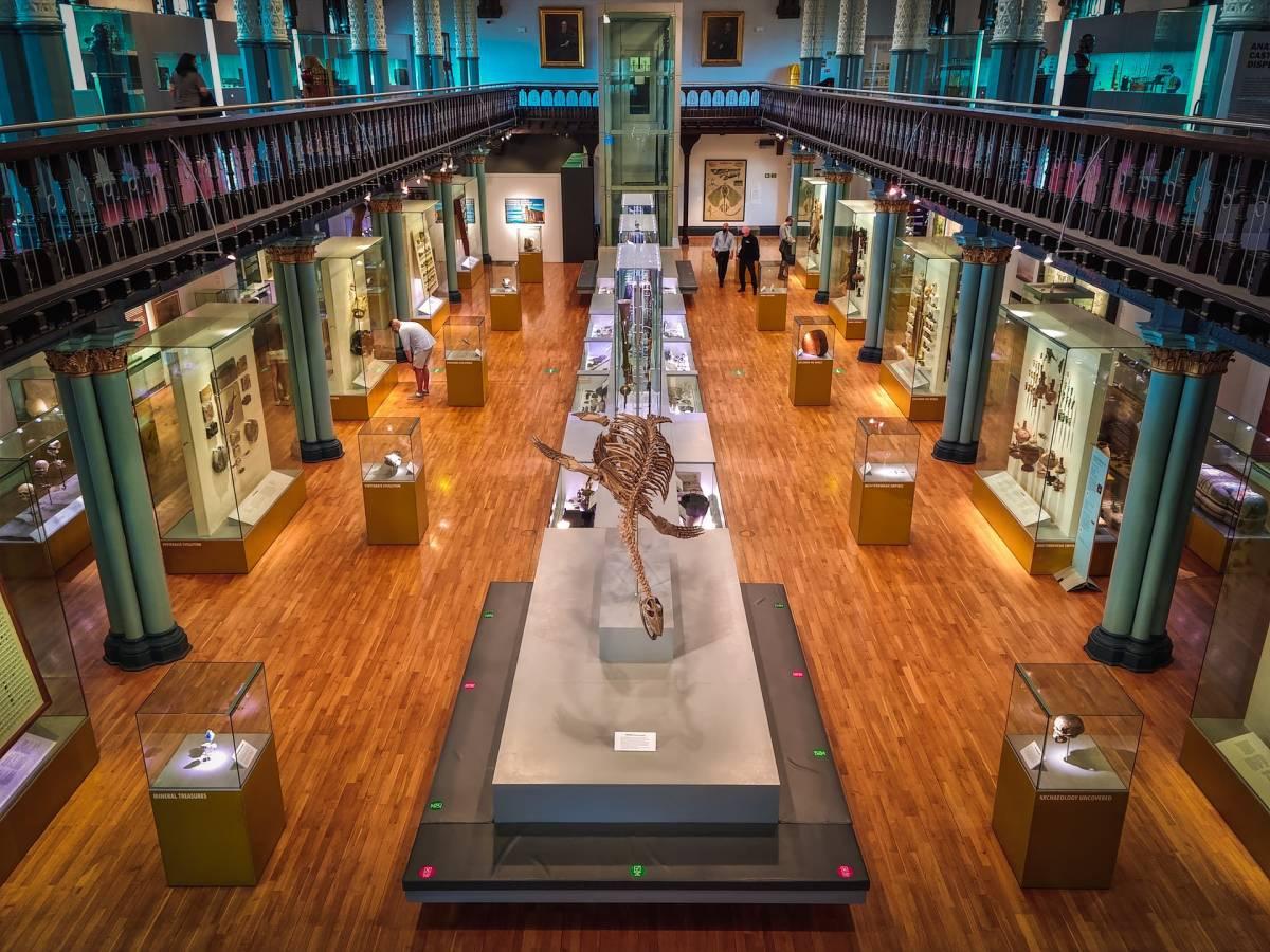 hunterian museum