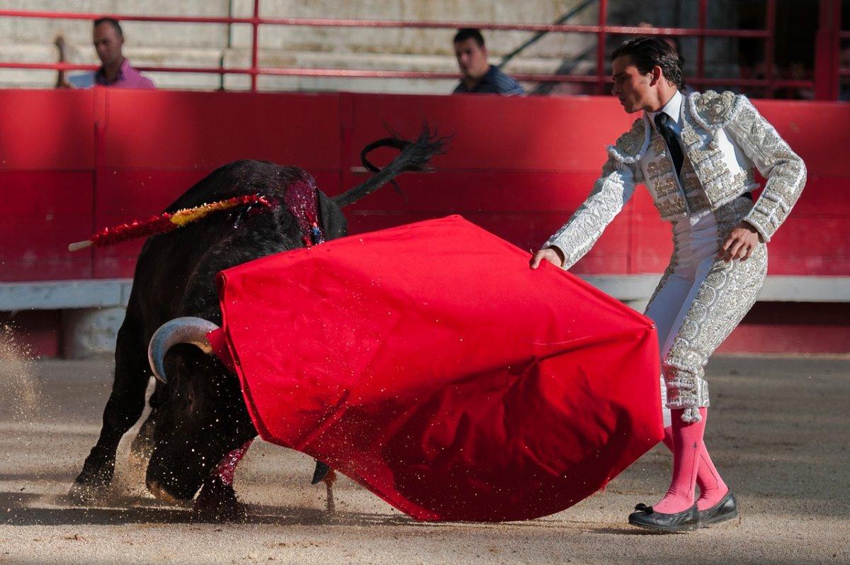 the corrida is a national sport in spain