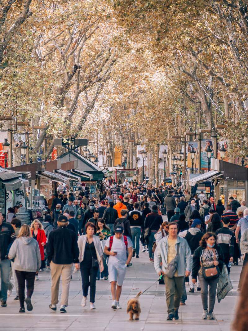 19 - las ramblas fun facts barcelona