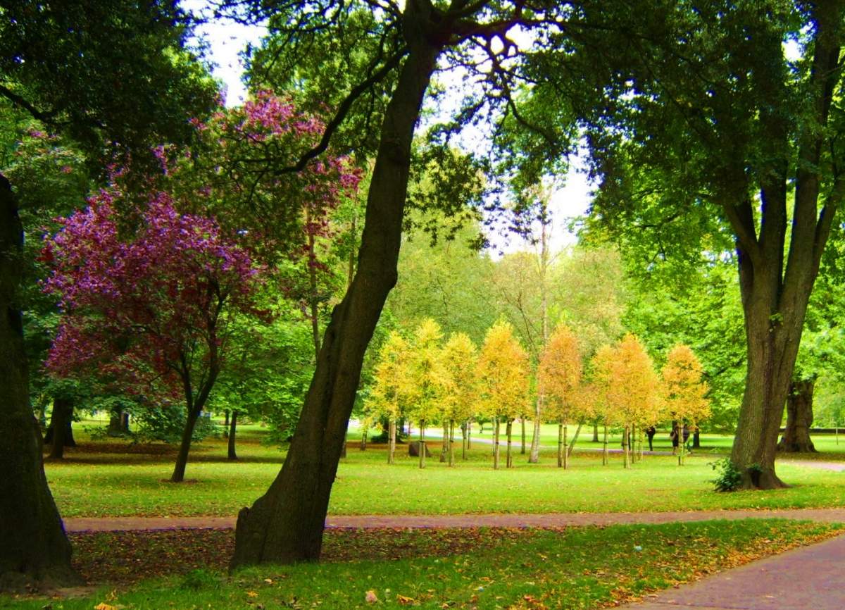 bute park