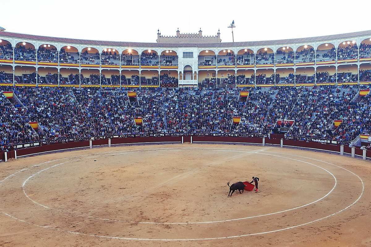 13 - facts about spanish bullfighting in madrid