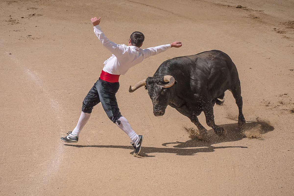 16 - spain bullfighting facts