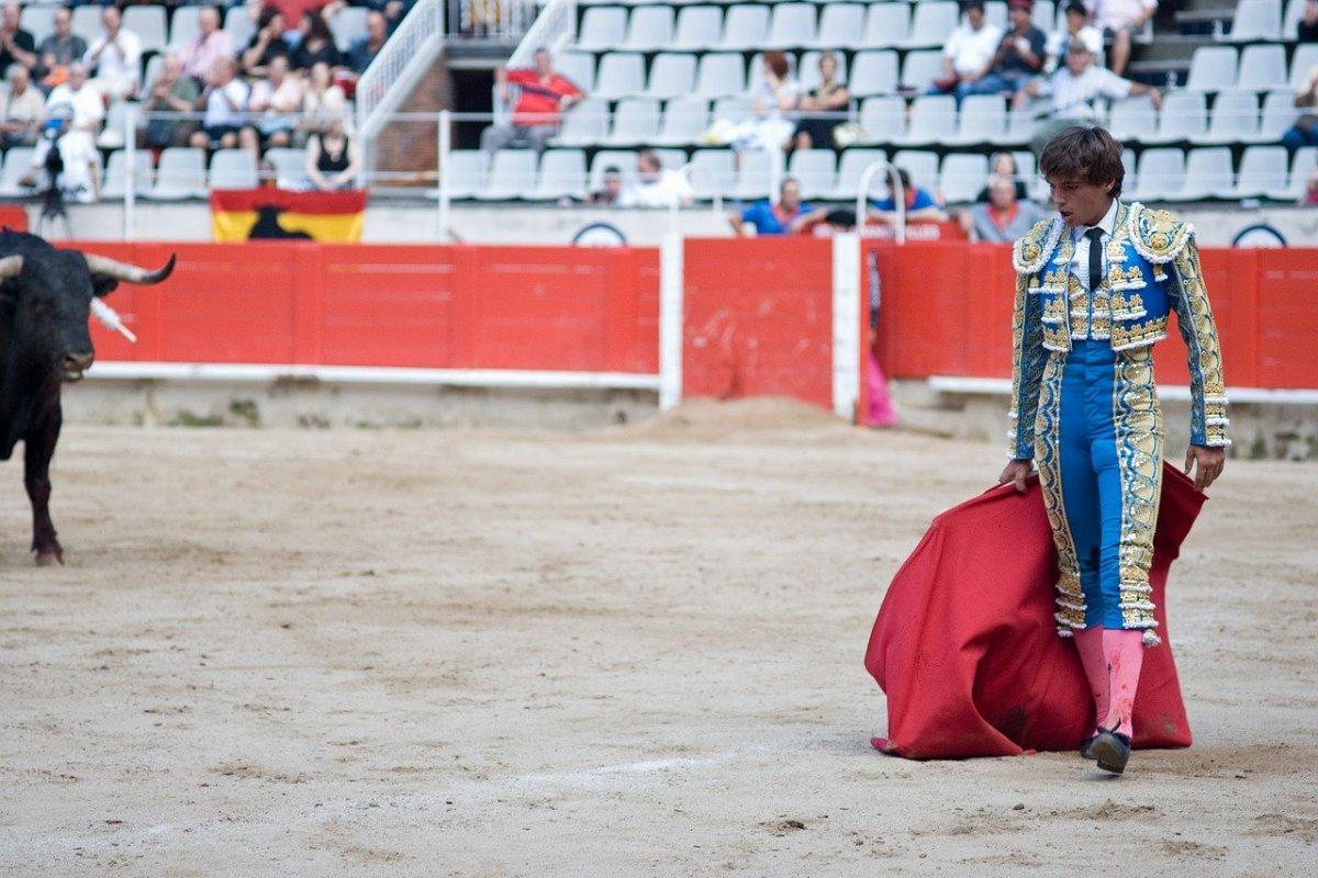 18 Facts About Bullfighting in Spain (100% true)